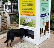 ไอเดียเจ๋ง ตู้เลี้ยงอาหารสุนัขจรจัด เพียงหยอดขวด กระป๋อง อาหารน้องหมาก็จะออกมา