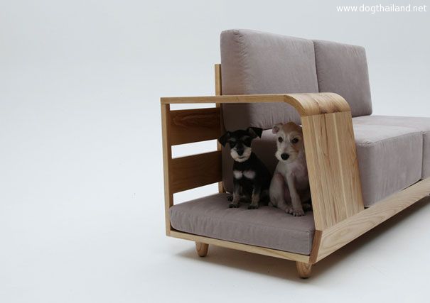 inventions-for-dog-lovers-2-2.jpg