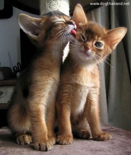 Bw4jvr9CEAARNUg (1).jpg