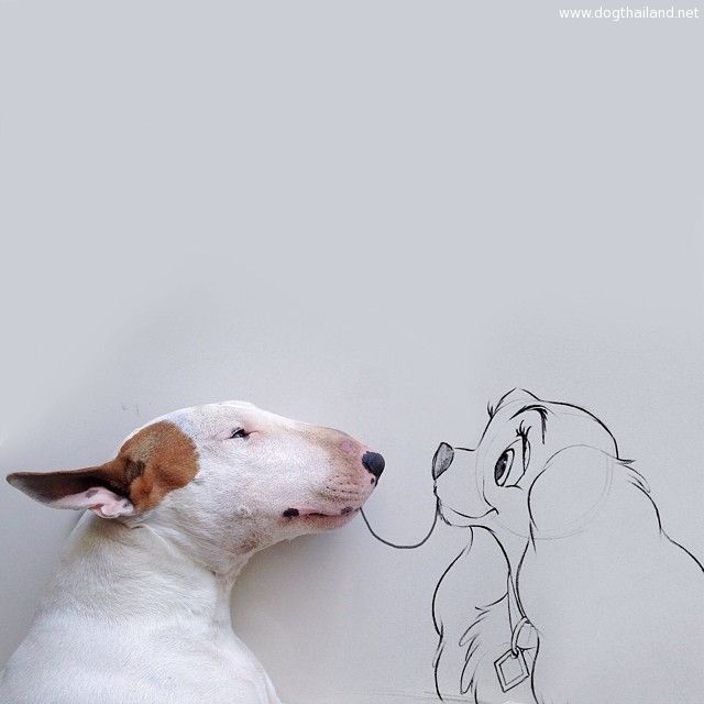 jimmy-choo-bull-terrier-illustrations-rafael-mantesso-5.jpg