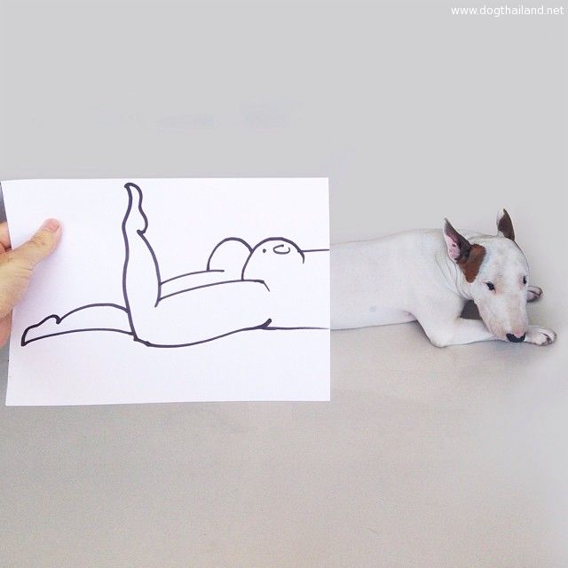 jimmy-choo-bull-terrier-illustrations-rafael-mantesso-3.jpg