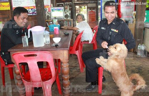 หมาน่ารัก เจ้าแบรี่ สุนัขแสนรู้ ช่วยเจ้าของเก็บ-ทอนเงิน ในร้านอาหาร