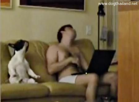 คลิปหมาน่ารักๆ ตลกๆ โยกหัว มันต้องโยกหัว พร้อมเจ้าของเป๊ะ ทำได้งัยอะ