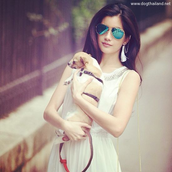 รูปหมา ดารา สัตว์เลี้ยงดารา ปู ไปรยา น้องหมาน่ารัก