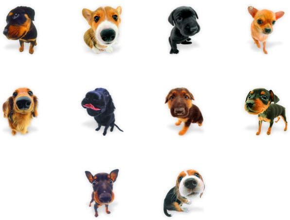 pet dog – PNG Icons ไอคอนหมา สุนัข หัวโต น่ารักๆ