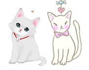 icon cats kitty .gif ไอเท็มดุ๊กดิ๊กน่ารัก เจ้าแมวเหมี๋ยว