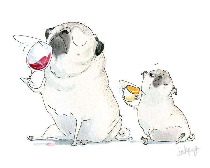 Pug cartoon การ์ตูน หมาปั๊ก Pug สุนัข อ้วน น่ารัก กลายเป็นการ์ตูนน่ารัก