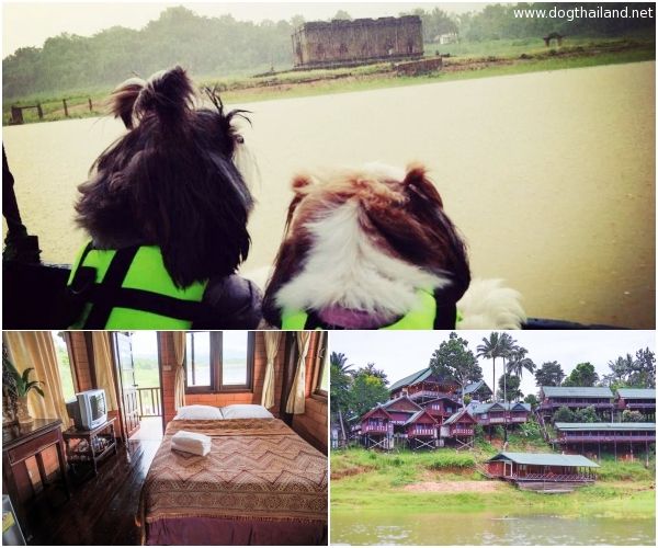 อัปเดต 2569! ที่พักสัตว์เลี้ยงพักได้ สังขละบุรี กาญจนบุรี (หมาใหญ่) ใกล้สะพานมอญ ชมเมืองบาดาล