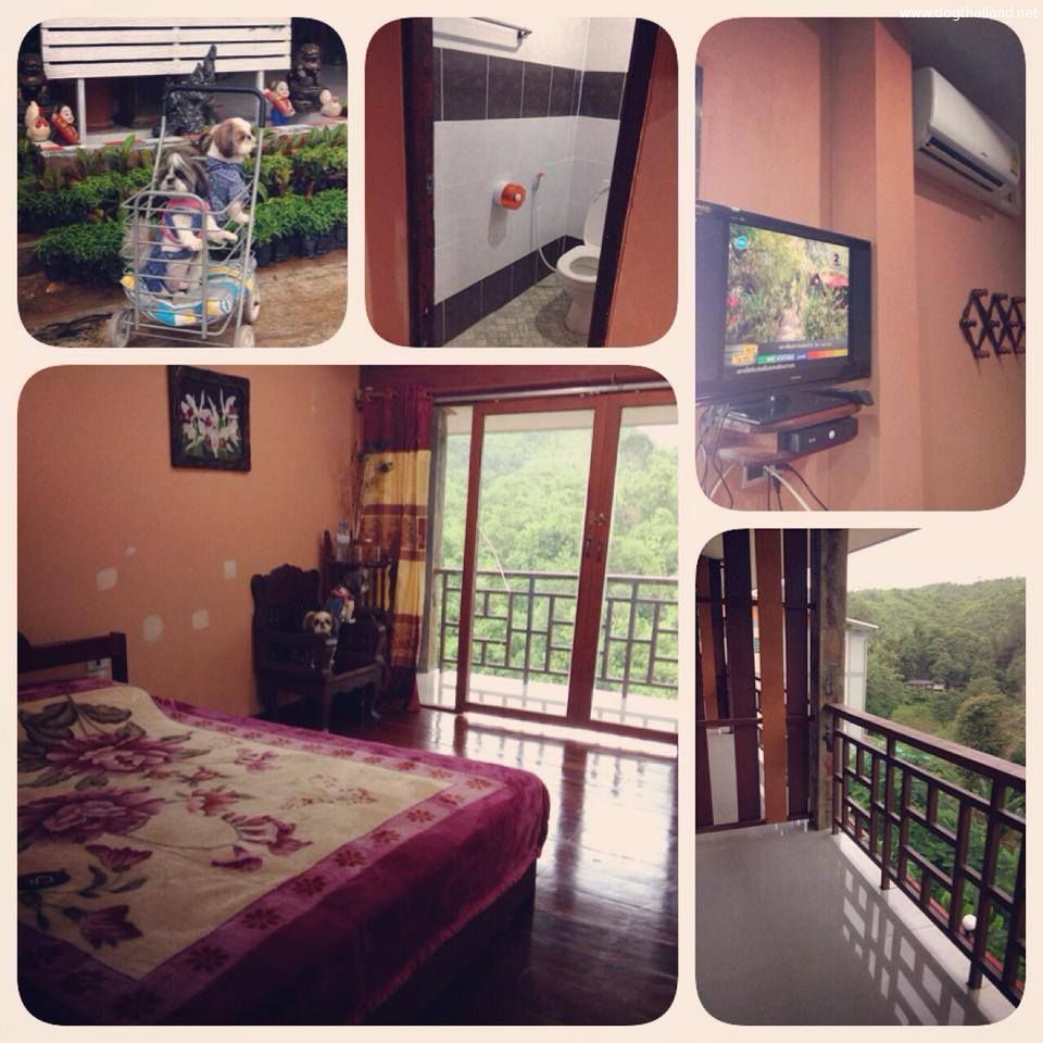 อัปเดต 2569! ที่พักสัตว์เลี้ยงพักได้ สังขละบุรี กาญจนบุรี (หมาใหญ่) ใกล้สะพานมอญ ชมเมืองบาดาล