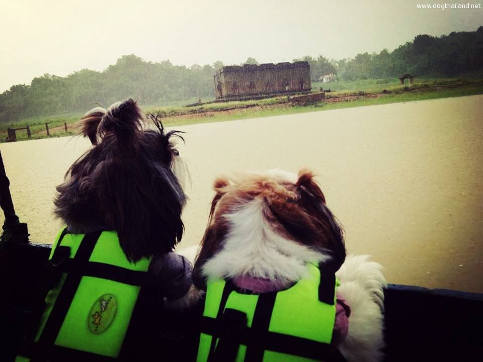 อัปเดต 2569! ที่พักสัตว์เลี้ยงพักได้ สังขละบุรี กาญจนบุรี (หมาใหญ่) ใกล้สะพานมอญ ชมเมืองบาดาล