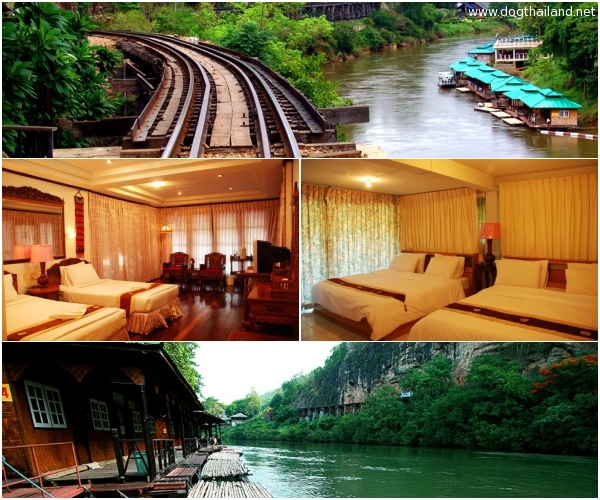 สุนัขพักได้ ล่องแพ เห็นวิวรถไฟสายมรณะ บ้านริมแควแพริมน้ำ กาญจนบุรี น้องหมาพักได้ด้วย