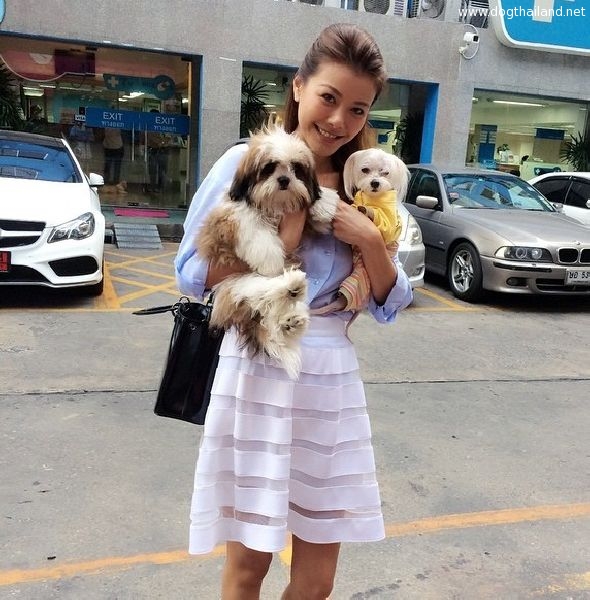 เก๋ ชลลดา ดาราพิธีกรสาวชื่อดัง นำทีมยื่น 6 หมื่นรายชื่อกมธ.ป้องกันทารุณสัตว์