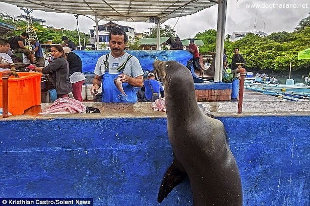 10372763_624675857654761_1667067328229954854_n (1).jpg