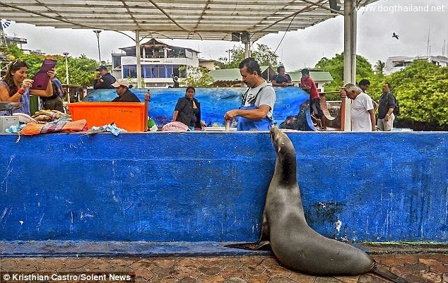 10389127_624675834321430_3312791114726751180_n (2).jpg