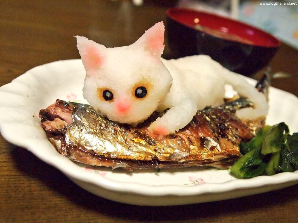 แมวกับปลาซาบะ เห็นแบบนี้กล้ากินกันไหม อูยยน่ารัก