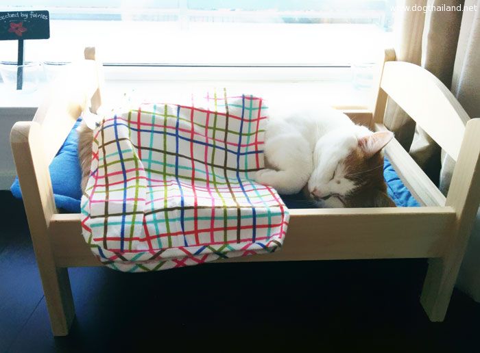 ikea-duktig-bed-hack-cat-bed-6.jpg