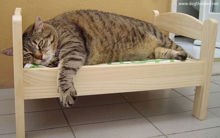 ikea-duktig-bed-hack-cat-bed-7.jpg