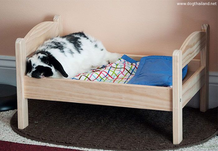 ikea-duktig-bed-hack-cat-bed-5.jpg