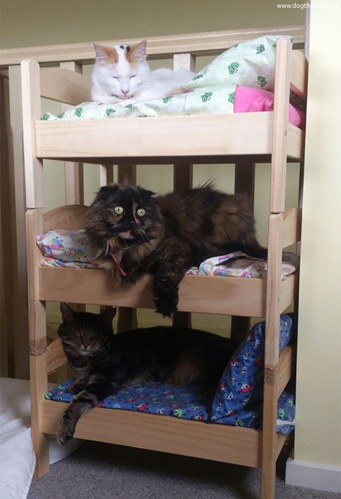 ikea-duktig-bed-hack-cat-bed-16.jpg