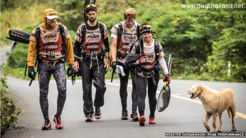 "Arthur" หมาแสนซื่อสัตว์ หมาจรจัดซึ้งน้ำใจ เดินเป็นเพื่อนนักกรีฑากว่า 700 กม.