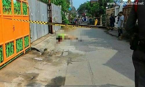 สลด! หนุ่มใหญ่ยิงเพื่อนบ้านดับ 1 เจ็บสาหัส 1 ปมสุนัขเห่าเสียงดัง