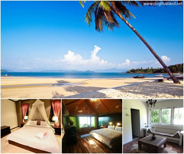เกาะพยาม หมาพักได้ เที่ยวทะเลมัลดีฟ ระนอง โรงแรม รีสอร์ท บังกะโล พร้อมที่พักในตัวเมือง