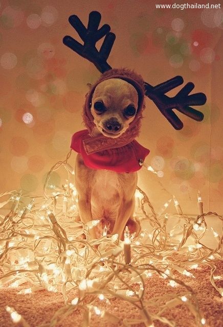 866a65c14e3235ffaed355253075f845 (1).jpg