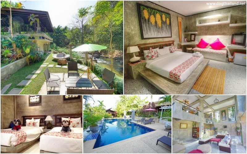 รวมที่พักหมาพักได้ เชียงใหม่ Pet Friendly หมาใหญ่พักได้ พาหมาเที่ยวเชียงใหม่ ล่าสุด
