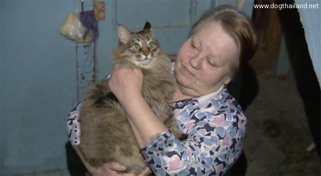 แมวฮีโร่ ให้ความอบอุ่น ช่วยเด็กทารกถูกทิ้ง จนรอดชีวิต