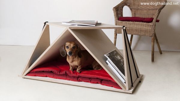 บ้านน้องหมา มิกซ์แอนด์แมทช์ กับโต๊ะกาแฟ ได้อยู่ใกล้ชิดกันตลอดเวลาจัดไป