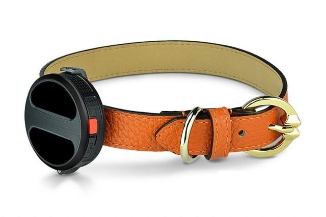 ปลอกคอ GPS น้องหมา น้องแมว พูดคุยกับสุนัขระยะไกลได้!!