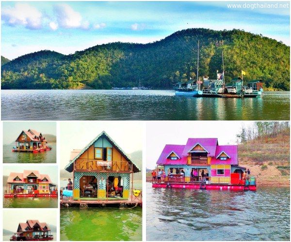 พาน้องหมาล่องแพ ที่กาญจนบุรี น้องหมาพักได้ที่ แพหลานลุง เขื่อนศรีนครินทร์