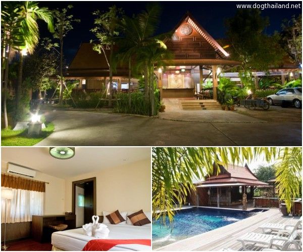 ที่พักหมาพักได้ พัทยา อินรวดี รีสอร์ท พัทยา หาดจอมเทียนพัทยา