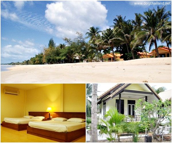 The Beach Resort (เดอะ บีช รีสอร์ท) ที่พักติดทะเล ชายทะเลดอนทราย จ.ประจวบคีรีขันธ์