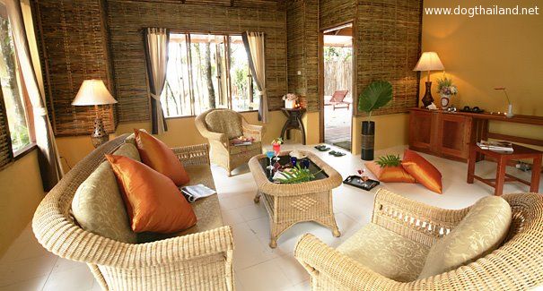 กัปตันฮุก รีสอร์ท เกาะกูด ตราด หมาพักได้ ต้อนรับสัตว์เลี้ยง สวยสุดๆ