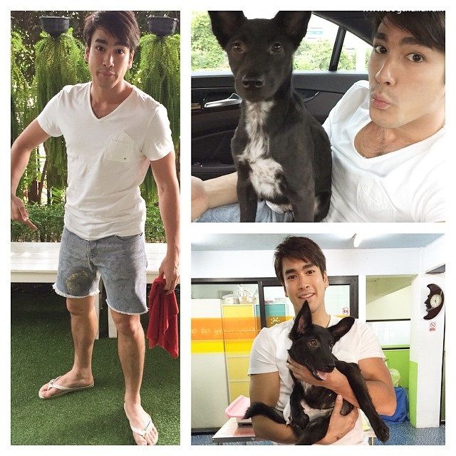 หมาของณเดชน์ สุดยอดมาก รับเจ้าเย็นเย็น หมาน้อยพิการมาเลี้ยงที่บ้านแล้ว