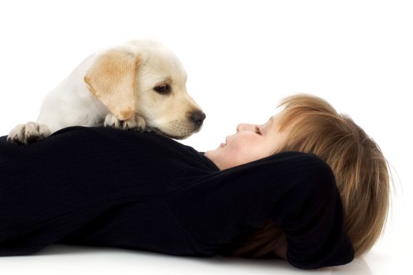 ยิ่งมองตาสุนัขยิ่งรักกันมากขึ้นนะ รู้เปล่าสบตากันบ่อยๆ