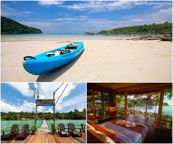 เกาะกูดหมาพักได้.jpg