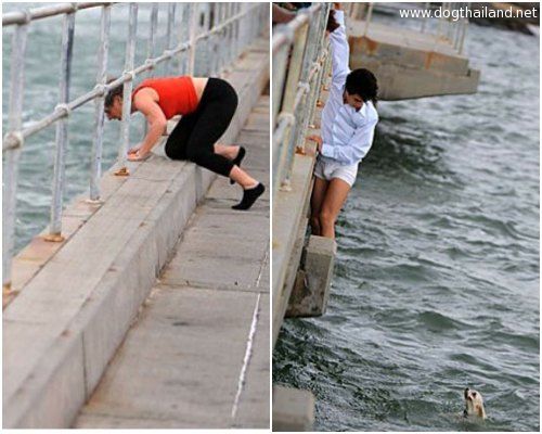 สุดยอดภาพประทับใจ ชายใจดีช่วยน้องหมาชิสุห์ ที่ถูกลมพัดตกทะเล เจ้าของดีใจจนร้องไห้