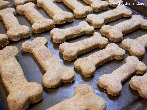dog-bisquits.jpg