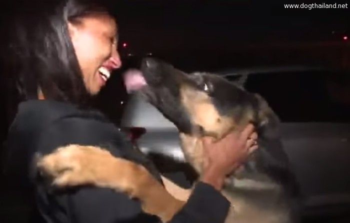 วินาทีประทับใจ เมื่อหมาพบเจ้าของที่พรากจากกันไป 3 ปีเต็ม (มีคลิป)