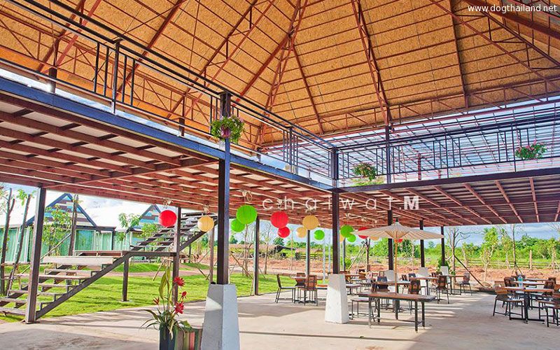 พัทยา หาดจอมเทียน บุรีธารา รีสอร์ท แอนด์ สปา จอมเทียน หมาพักได้ ต้อนรับสัตว์เลี้ยง