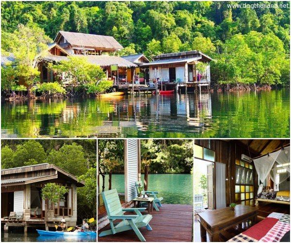 เกาะกูด ตราด หมาพักได้ โรงแรม รีสอร์ท บังกะโล ต้อนรับสัตว์เลี้ยง เกาะกูด จังหวัดตราด