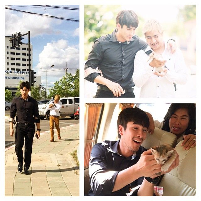 ณเดชน์ คูกิมิยะ พระเอกน่ารัก จอดรถช่วยลูกแมวน้อยกลางถนน