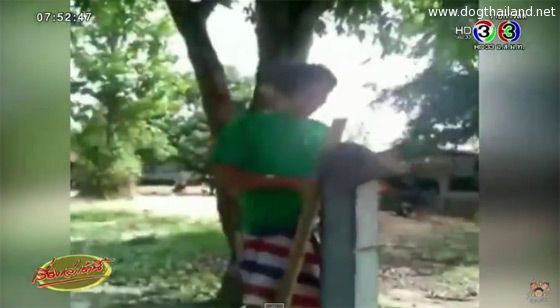 จับแล้ว ! ชายใจเหี้ยมโหด อัดคลิปฆ่าหมาทำกับข้าว โพสต์โชว์บนเฟซบุ๊ก