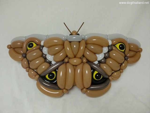 balloon-animal-art-masayoshi-matsumoto-japan-101.jpg