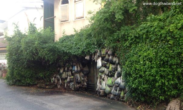 ลัทธิบูชาขี้หมา แขวนถุงส่งกลิ่นเหม็นหน้าบ้าน ในชุมชนพงษ์เพชรแจ้งวัฒนะ 14 กรุงเทพฯ