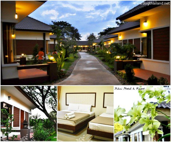 เวียงจันทร์ ประเทศลาว พาน้องหมา เที่ยวต่างประเทศ ไปยังงัย พักที่ไหน จัดไป