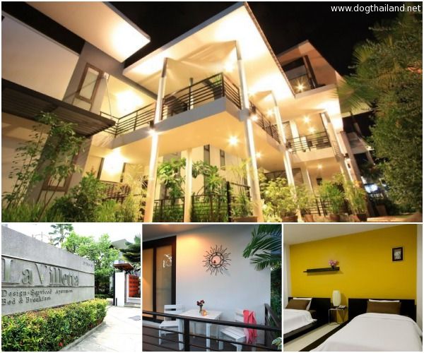 รวมที่พักหมาพักได้ เชียงใหม่ Pet Friendly หมาใหญ่พักได้ พาหมาเที่ยวเชียงใหม่ ล่าสุด