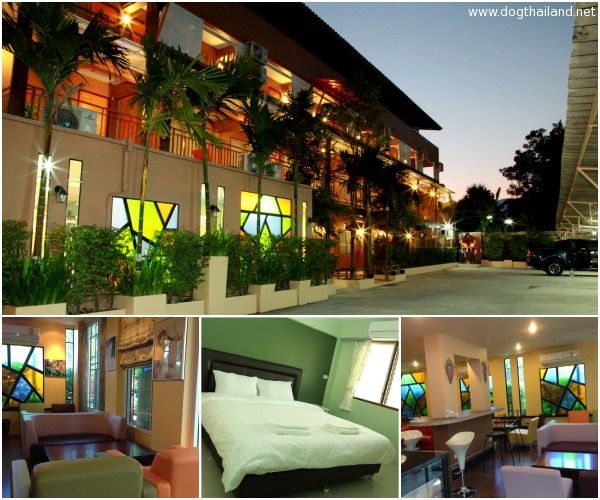 รวมที่พักหมาพักได้ เชียงใหม่ Pet Friendly หมาใหญ่พักได้ พาหมาเที่ยวเชียงใหม่ ล่าสุด